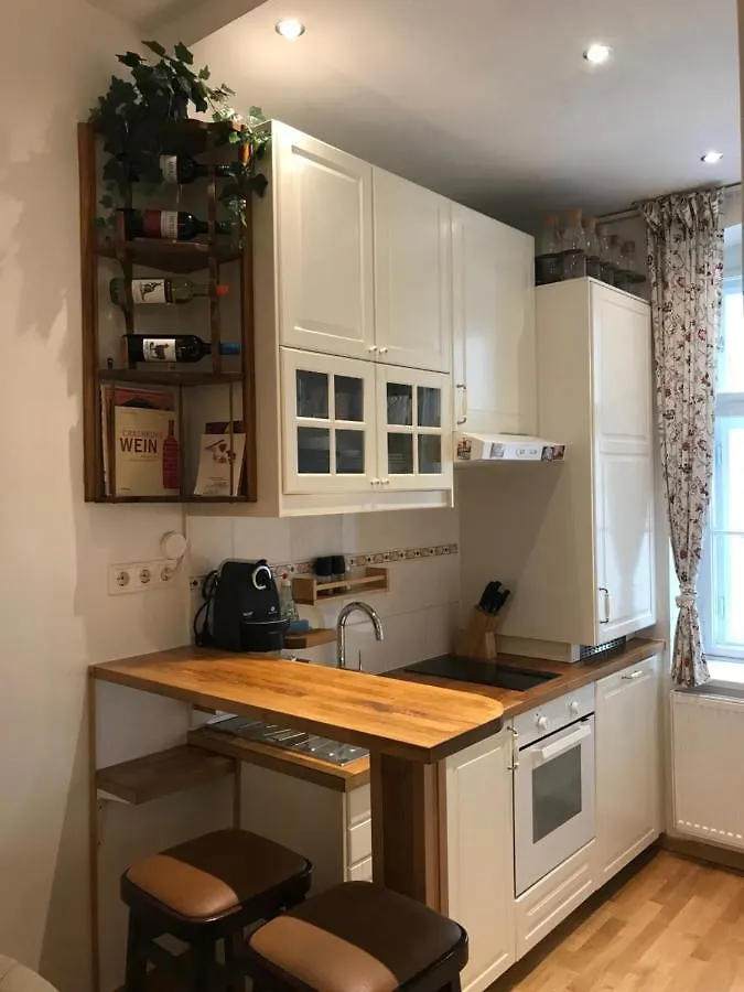 Nice Apartment Near Schoenbrunn And Downtown Vienna 0*,  Austria