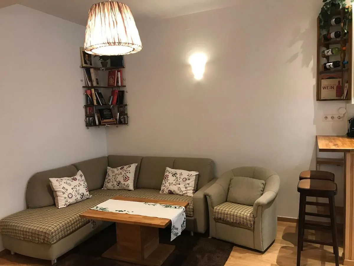 Nice Apartment Near Schoenbrunn And Downtown Vienne